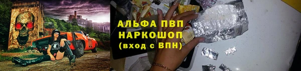 ECSTASY Каменка