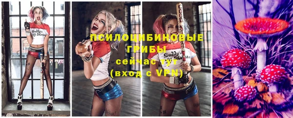 ECSTASY Каменка