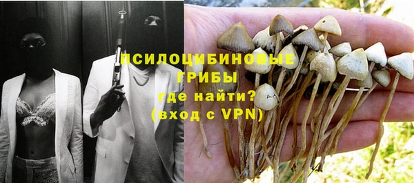 спиды Каменногорск