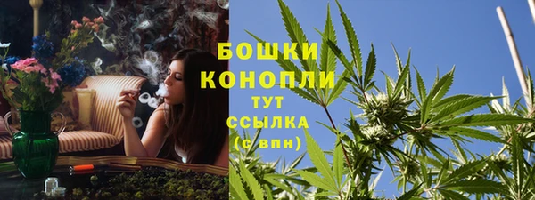 спиды Каменногорск