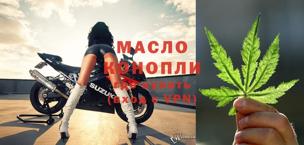 спиды Каменногорск