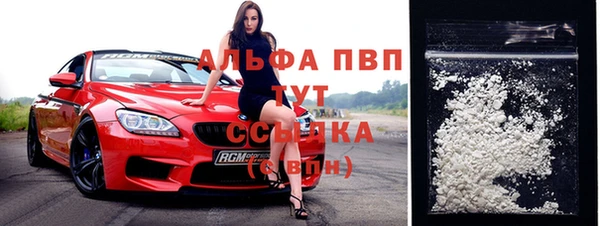 ECSTASY Каменка