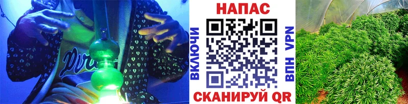 Бошки Шишки ГИДРОПОН  Купить закладки  Пикалёво 